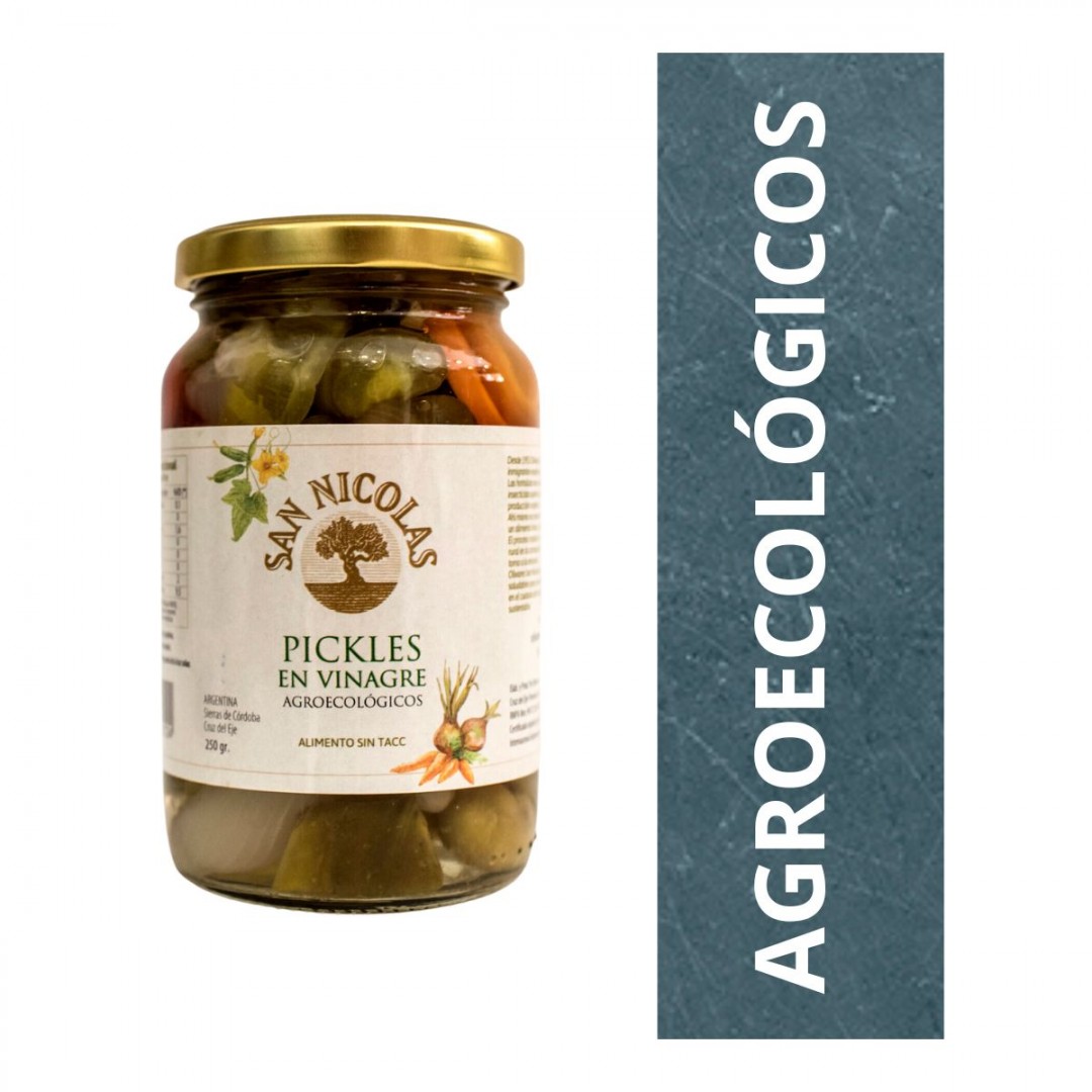 pickles-en-vinagre-san-nicolas-x-250-gr