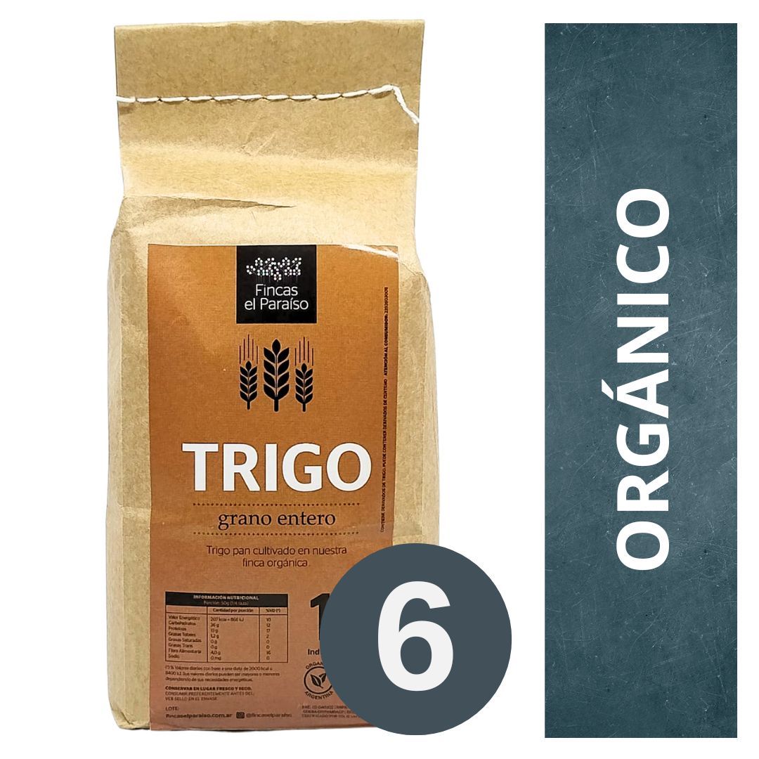 grano-entero-de-trigo-organico-fincas-el-paraiso-6-x-1-kg