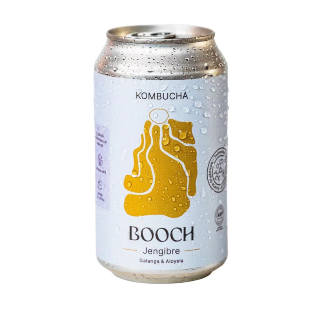 kombucha-booch-jengibre-x-354-cc-linea-clasica