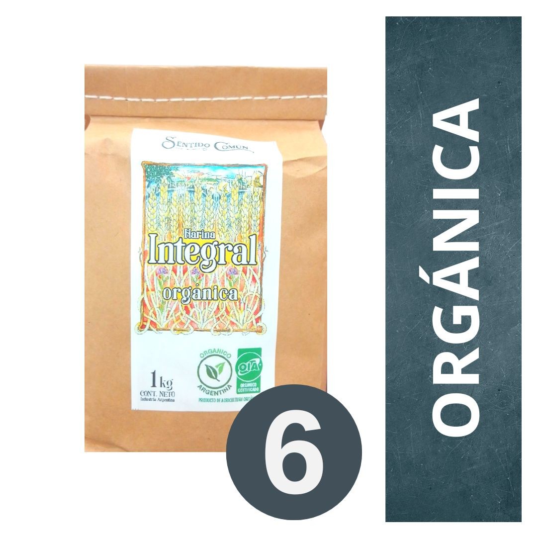 pack-harina-integral-organica-molino-sentido-comun-6-x-1kg