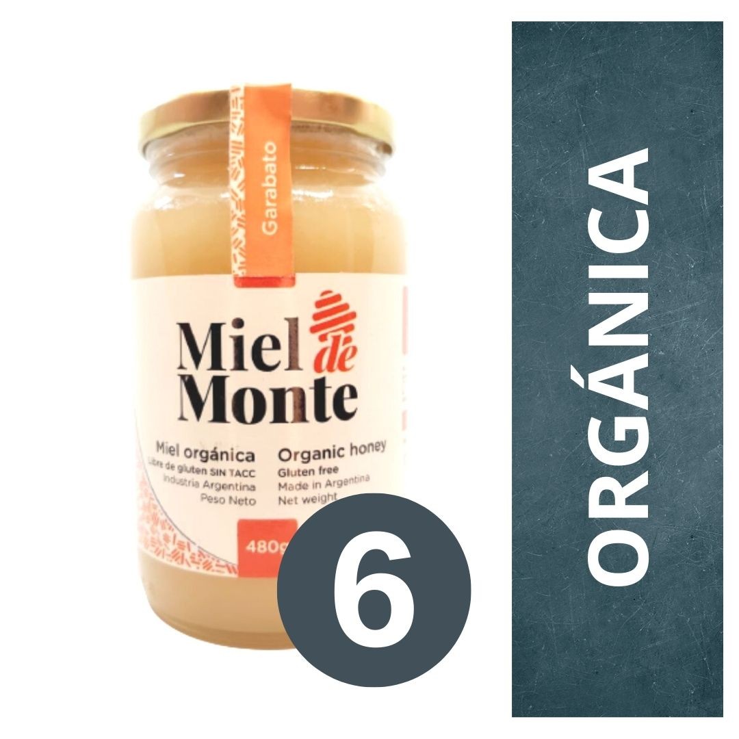 pack-de-miel-organica-miel-de-monte--garabato-6-x-480-gr